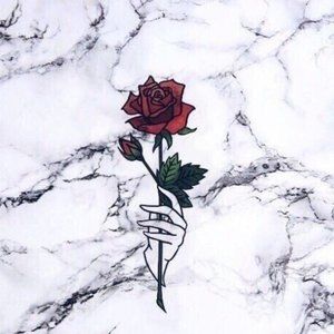 Meet your Posher, Tatin